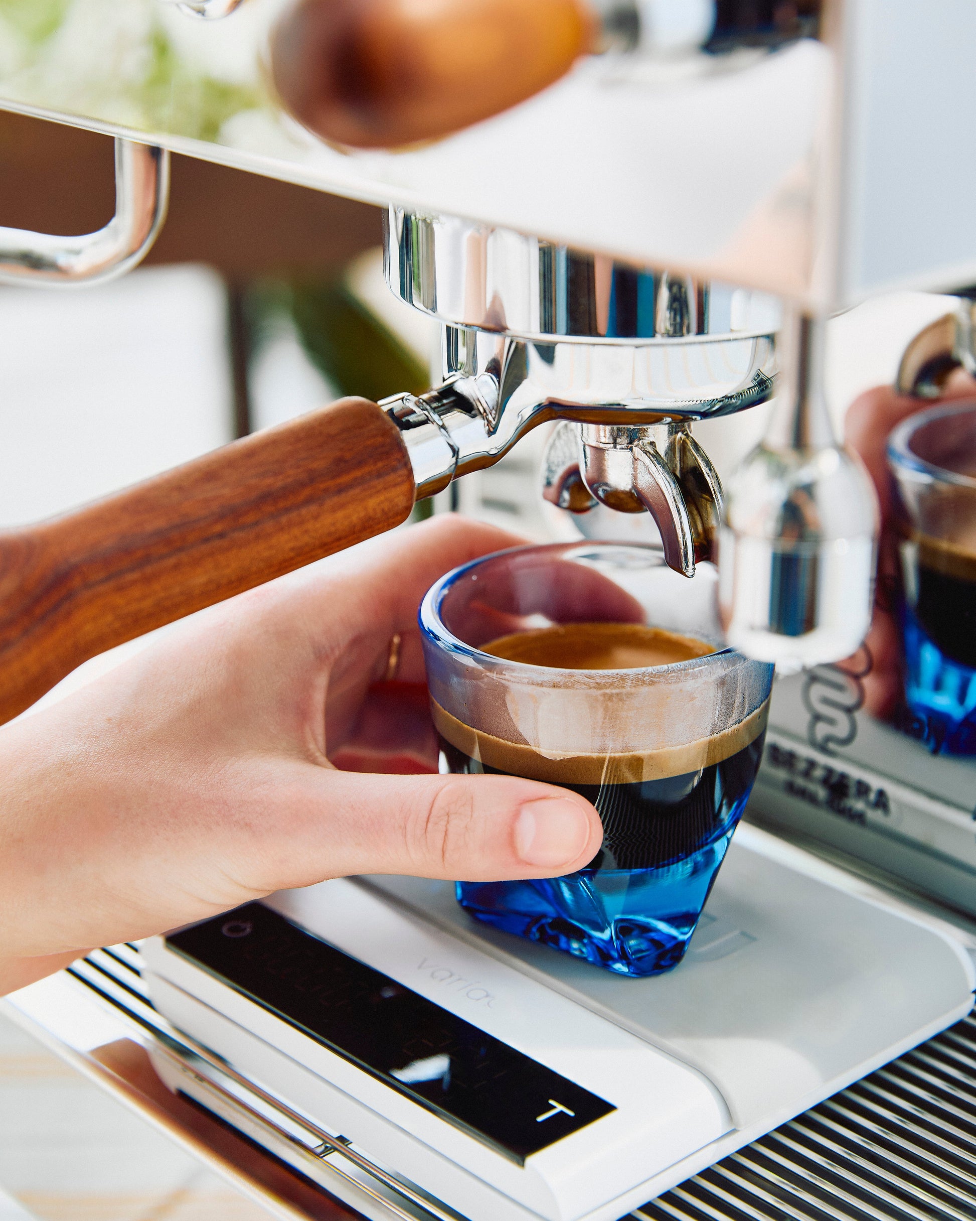Bezzera BZ13 PM Espresso Machine - Special Edition